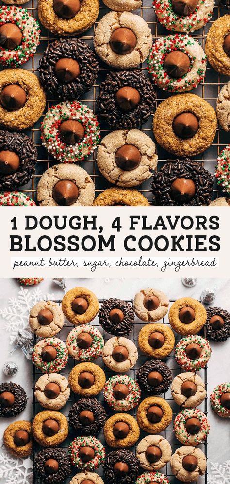 One dough is used to make four blossom cookie flavors! Classic peanut butter, gingerbread, dark chocolate, and sugar cookie. It's the perfect recipe for a cookie exchange or Christmas cookie boxes! #blossomcookies #christmascookies #kisscookies #butternutbakery | butternutbakeryblog.com Christmas Cookie Boxes, Christmas Cookie Box, Peanut Butter Blossom Cookies, Cookie Boxes, Blossom Cookies, Peanut Butter Blossoms, Cookie Flavors, Sugar Cookie Dough, Holiday Foods