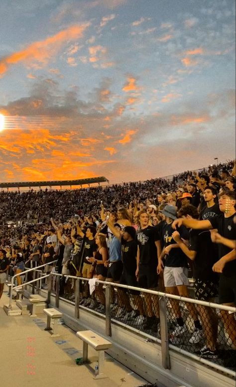 Ucf Football, College Necessities, University Housing, College Vision Board, Ucf Knights, College Football Games, University Of Central Florida, Hello Kitty Rooms, College Aesthetic