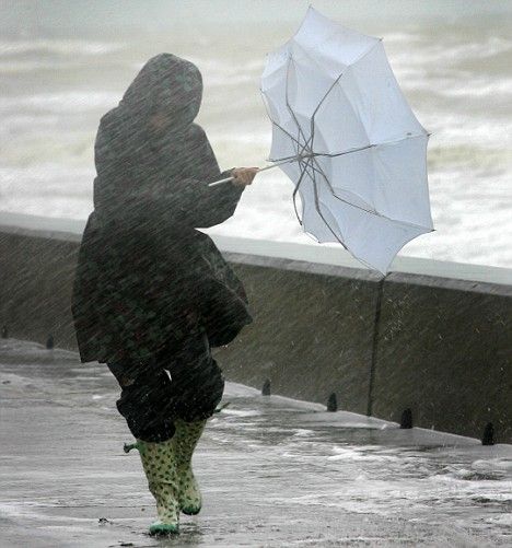 Umbrella Fashion Photography, Rain Meme, Windy Girl, Ladies Umbrella, Person Falling, Hair In The Wind, Fashion Umbrella, The Odyssey, Rain Storm