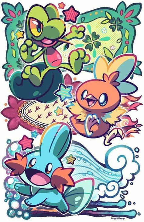 Hoenn starters Pokemon Blanket, Kartu Pokemon, Eevee Evolution, Games Christmas, Pokemon Starters, Pokemon Tattoo, Posca Art, Cute Pokemon Pictures, Eevee Evolutions