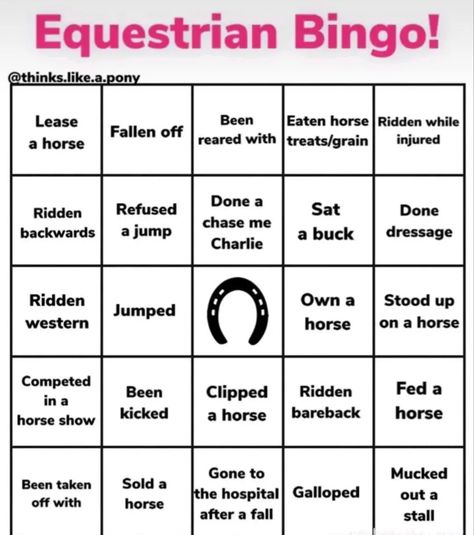 Horse Riding Games, Horse Themed Party, Horse Quotes Funny, Horse Room, Horse Markings, Horse Lessons, Horse Riding Quotes, Riding Quotes, Post Insta