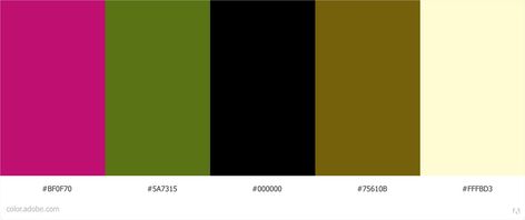 Color Pallet -- Deep Fuschia, Olive Green, Black, Gold, Cream Deep Fuschia, Green Office, Rocker Chic, Gold Cream, Pink Decor, Black Olive, Deep Pink, Olive Color, Colour Schemes