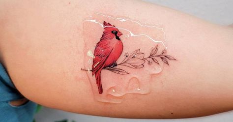 Tattoo Artist: Nathania · Nguyên Nhi. Tags: categories, Micro-Realism, Color Micro-Realism, Animals, Birds, Cardinal. Body parts: Arm > Inner Arm. Cardinal Collar Bone Tattoo, Small Cardinal Tattoo Memorial, Cardinal Tattoo Memorial, Small Cardinal Tattoo, Maine Tattoo, Tattoo Memorial, Winter Tattoo, Micro Realism, Red Bird Tattoos