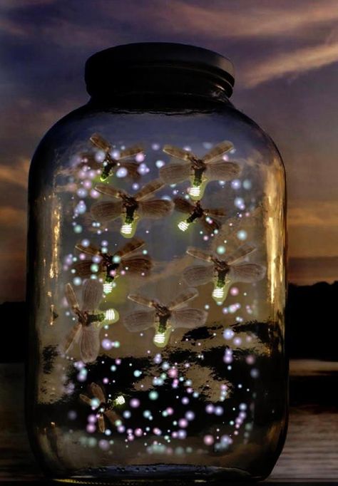 Catching fireflies on a summer's night. I so remember this on summer evenings in Cleveland as a kid Lighting Bugs, Fireflies In A Jar, Catching Fireflies, Aesthetic Gif, Firefly, Glass Jar, Childhood Memories, Enchanted, Bugs