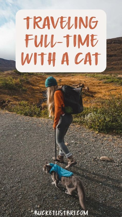 Want to travel the world but just can't leave your cat behind? That's why we travel with our cat full-time all while living the digital nomad lifestyle. Here's how we do it! Moving Countries, Travel Cat, Nomad Lifestyle, Creatures Of Comfort, Digital Nomad Lifestyle, Adventure Backpack, Full Time Travel, Cat Travel, Solo Female Travel