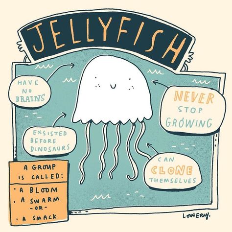 Mike Lowery, Shark Facts, Art Zine, Marine Biology, Typography Art, My Day, Jellyfish, Social Media Design, Funny Cute