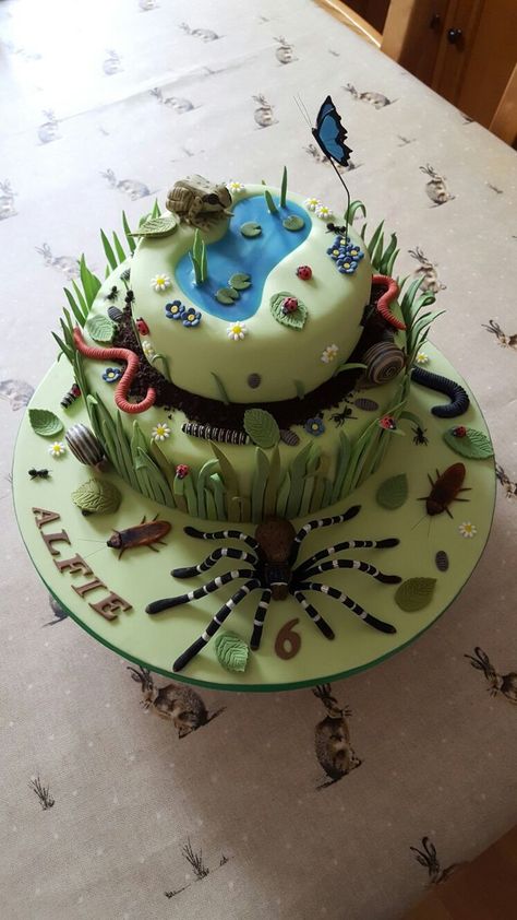 Bug cake Bugs Cake Ideas, Insect Cakes For Boys, Bug Theme Cake, Bugs Birthday Cake, Insect Cake Ideas, Bug Cakes For Boys, Bug Cake Ideas, Insect Birthday Cake, Nature Theme Cake