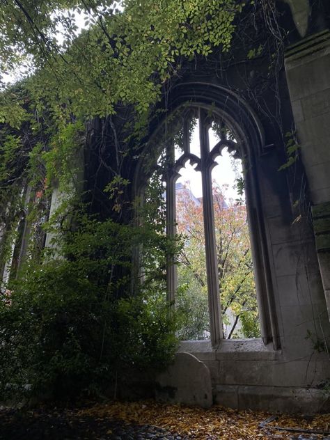 Abandoned Library, Vampire Wedding, Church Aesthetic, Dark Castle, Beautiful Ruins, Abandoned Church, Southern Gothic, Castle Ruins, Baroque Architecture