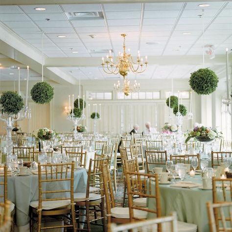 Following the ceremony, guests were bussed to the cocktail hour and reception at the Edina Country Club, where the garden-party feel continued. Table arrangements included boxwood and moss balls with roses and decorative birds' nests, and crystal containers overflowing with fruits, ferns, ivy, roses, and dahlias. Topiary Wedding, Country Club Reception, Hanging Greenery, Birds Nests, Kissing Balls, Boxwood Balls, Flower Balls, Greenery Decor, Reception Tables