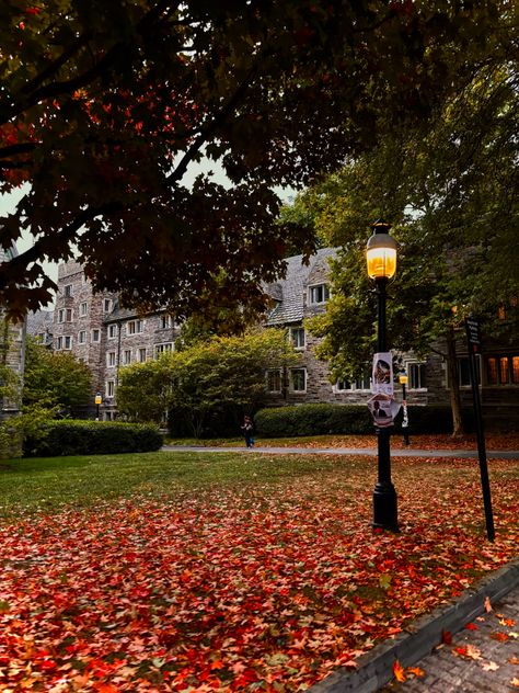 Princeton campus covered in red orange and yellow leaves on a cloudy day foggy weather lampost on the side East Coast College, East Coast Fall, Autumn Leaves Falling, It's The Great Pumpkin, Leaves Falling, College Campus, Fall 2024, Fall Vibes, Dark Academia