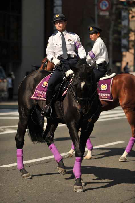 Kyoto Mounted Police Police Horse, Purple Horse, Mounted Police, Leg Wraps, Horse Guards, Brothers In Arms, Crowd Control, Police Uniforms, English Saddle