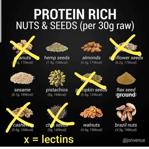 Brazil Nuts Benefits, Diy Microgreens, Lectin Foods, Ayurvedic Nutrition, Nuts Health Benefits, Hemp Seed Benefits, Vegan Bodybuilding Diet, Vegan Proteins, Ckd Diet