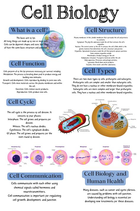 CELL STRUCTURE AND FUNCTION NCERT HIGHLIGHTS Abc Of Biology, Cell Function And Structure, Cell Organelles Diagram, Cell Structure Notes, Cell Structure And Function Notes, Cell Notes, Cell Definition, Cell And Molecular Biology, Cell Biology Notes