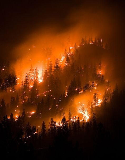 montana wildfire, forest fire | Flickr - Photo Sharing! Breathing Fire, Johanna Basford Enchanted Forest, Fire Photography, Wild Fire, Orange Aesthetic, Forest Fire, Life Is Strange, Fire And Ice, Natural Disasters