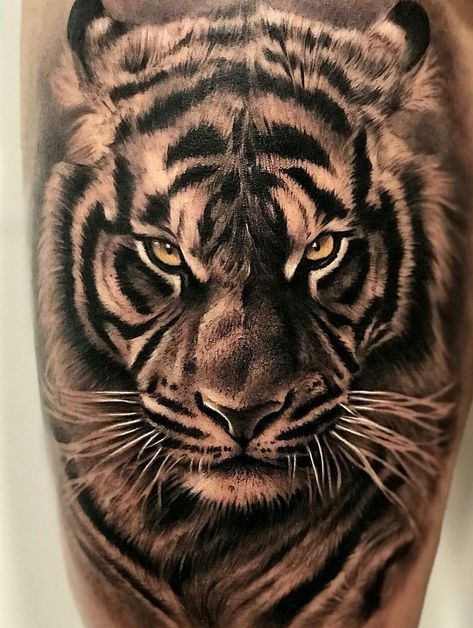 Tiger Tattoo Meaning, Mens Tiger Tattoo, White Tiger Tattoo, Tiger Face Tattoo, Tiger Head Tattoo, Tiger Tattoo Sleeve, Animal Sleeve Tattoo, Lion Tattoo Sleeves, Lion Head Tattoos