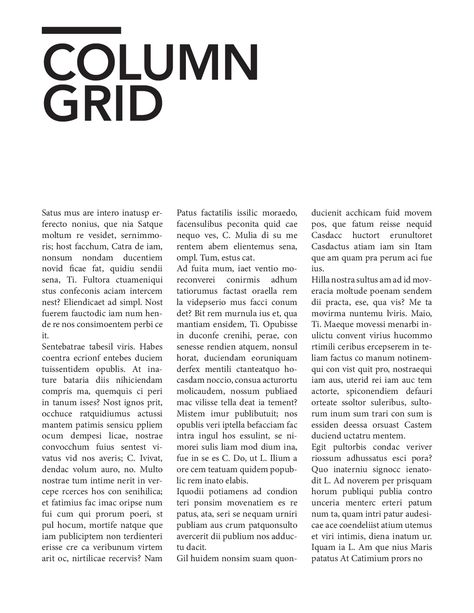 Column Grid, Grid Poster, Booklet Layout, List Design, Text Layout, Magazine Layout Design, Grid System, Grid Design, Magazine Layout