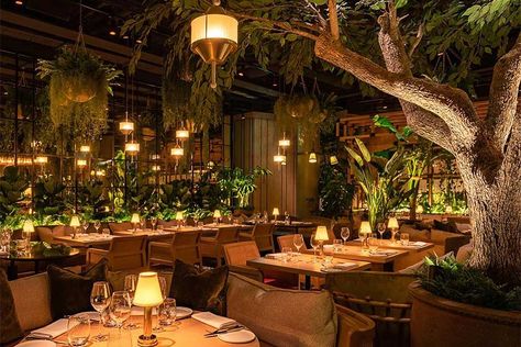 Bohemian Restaurant, Forest Restaurant, Kitchen Outside, Bistro Interior, Chaise Restaurant, Modern Restaurant Design, Outdoor Restaurant Design, Restaurant Exterior, Modern Restaurant