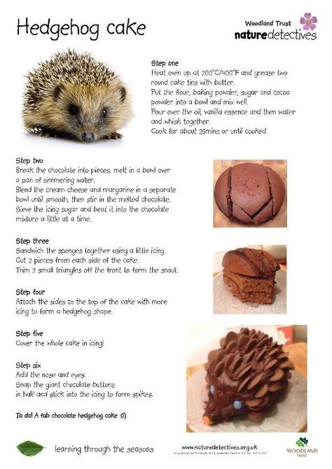 Hedgehog cake Choc Icing, Wacky Cake Recipe, Hedgehog Cookies, Hedgehog Food, Wacky Cake, Hedgehog Cake, Hedgehog Birthday, Icing Tips, Vanilla Icing