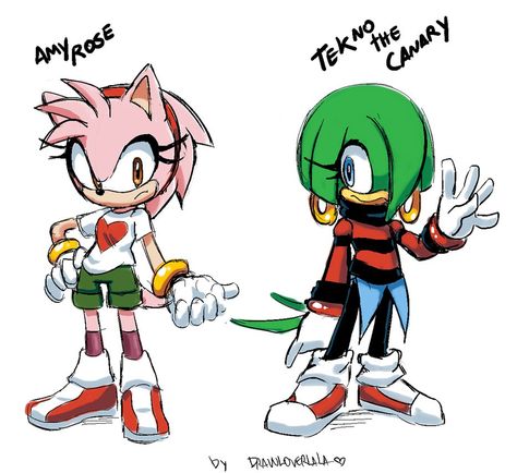 Amy and Tekno by Drawloverlala on DeviantArt Fleetway Amy Rose, Amy Rose Redesign, Sonic Redesign, Sonic Underground, Sonic Fanart, Sonic Oc, Rude Girl, Sonic & Knuckles, Shadow And Amy