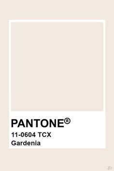 Pantone Tcx, Nude Color Palette, Brand Identity Colors, Pantone Swatches, Pantone Palette, Paint Color Chart, Pantone Colour Palettes, Color Palette Challenge, Mood Colors