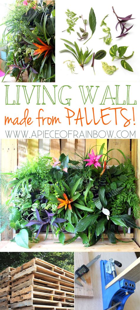 DIY Tropical Pallet Living Wall : Great pallet project that anyone can build it in less than 1 hour. Easy to maintain, and beautiful.-  via A Piece Of Rainbow Tropical Pallet, Pallet Planter Ideas, Living Wall Diy, Plant Wall Diy, Spring Diy Projects, Diy Container Gardening, Pallet Projects Garden, Made From Pallets, Planter Project