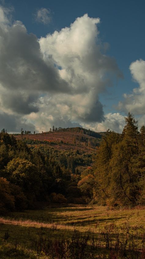 Autum in a german forrest near Bromskirchen German Forest Aesthetic, German Scenery, German Core, German Nature, German Countryside, German Landscape, Germany Landscape, Nouveau Wallpaper, Environment References