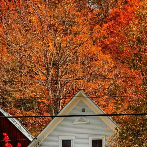 🍂fall🍁 on Instagram: ".FOLLOW:@fall_cozyy . .🗺Location;Strafford(Vermont) . .📸Photo by;@jacobxrossi" Strafford Vermont, Vermont Photography, Nature Fall, Autumn Photography, Well Dressed, Fall Vibes, Vermont, Autumn Leaves, Fall Colors