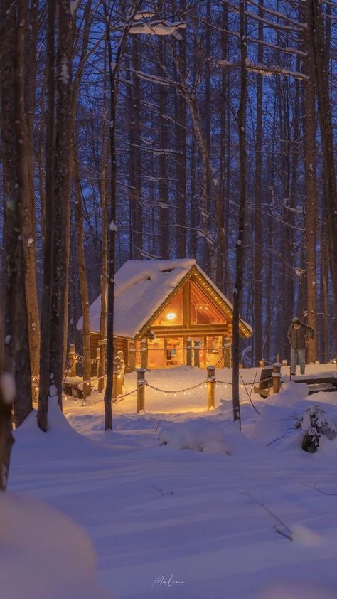 In The Woods, Cabin