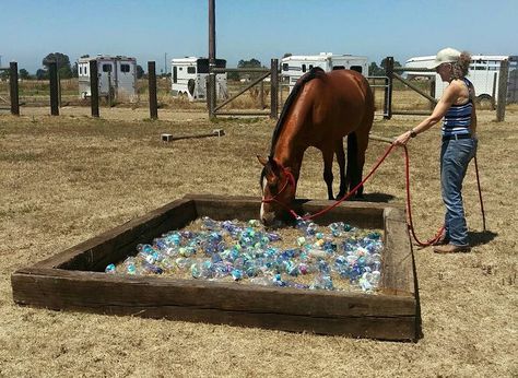 Horse obstacles plastic bottles Obstacle Course Ideas, Horse Obstacles, Horse Training Exercises, Horse Lessons, Horse Arena, Course Ideas, Horse Exercises, Horse Games, Horse Camp