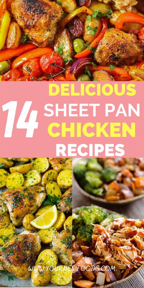 Sheet pan dinners: Chicken. Delicious & easy sheet pan dinner chicken recipe collection, perfect for family meals, entertaining, holidays & all year round. Check out these 14 most popular recipes Keto Sheet Pan Meal Prep, Sheet Pansheet Pan Dinner, Easy Sheet Pan Dinners For Family, Sheet Pan Sesame Chicken And Veggies, Macro Friendly Sheet Pan Recipes, Sheet Pan Chicken And Zucchini, Winter Sheet Pan Meals, Sheetpan Dinner Chicken, One Pan Oven Meals