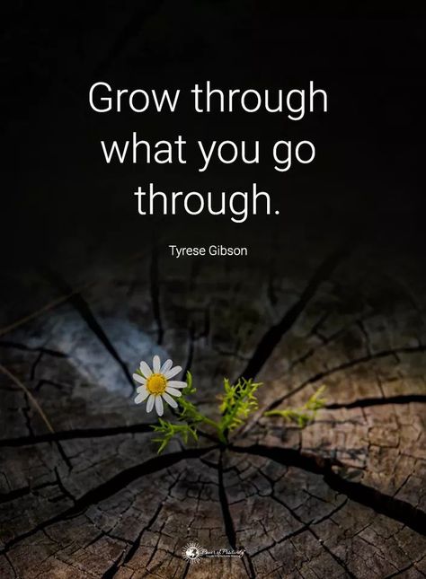 Grow through what you go through. Don't let it stop you! Grow Quote, Quotes Growth, Never Stop Growing, Growing Quotes, Determination Quotes, Let It Grow, Mom Life Quotes, Daily Prayers, Witty Quotes