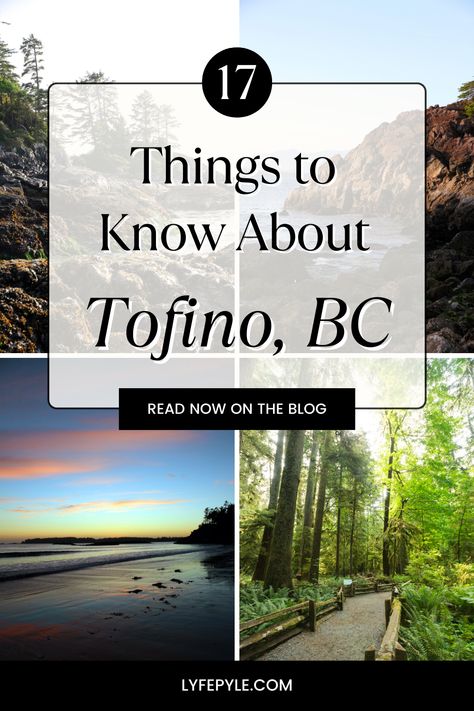 17 things to know about Tofino, BC. Read now of the blog. Lyfepyle.com Tofino Bc, Travel Motivation, Travel Canada, Whale Watching, Vancouver Island, Canada Travel, Cultural Heritage, Travel Companion, Hot Springs