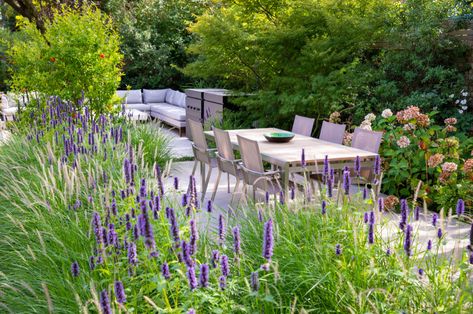 People’s Choice Candidates 2020 | Society of Garden Designers Cedar Trellis, York Stone, Planting Design, Outdoor Sofas, Sleek Kitchen, Landscape Elements, Contemporary Garden, Unusual Plants, Dark Light