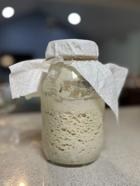 Gluten-Free Sourdough Starter (No Discard) - Madison Loethen Diy Gluten Free Sourdough Starter, 3 Ingredient Gluten Free Bread, Gluten Free Sourdough Starter Recipe, Madison Loethen, Gluten Free Sourdough Recipes, What Is Sourdough, Gluten Free Sourdough Starter, Gluten Free Bread Machine, Gluten Free Sourdough Bread