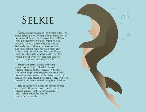 Selkies Myths & Monsters, Irish Mythology, Legends And Myths, Celtic Mythology, Sea Witch, Urban Legends, Mythical Creatures Art, Mythological Creatures, Mystical Creatures