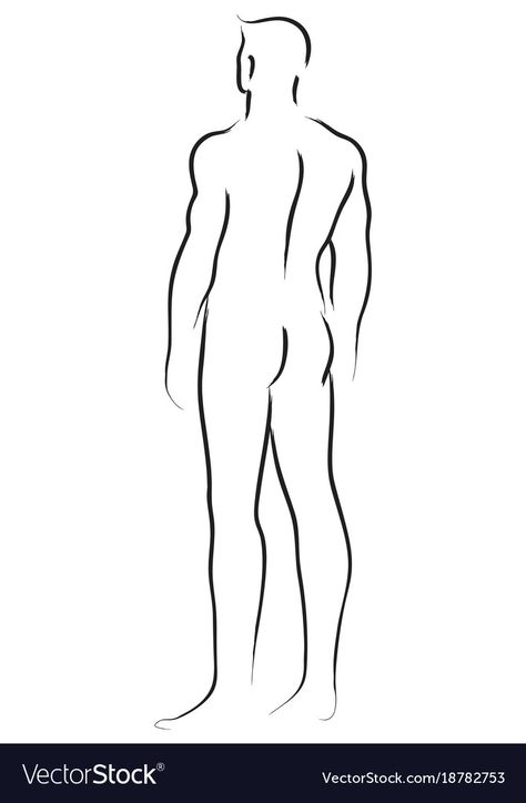 Line Art Drawings Man, Male Line Drawing, Male Body Line Art, Man From Behind, Tracing Art, Simple Line Art, Human Body Drawing, Body Template, Human Figure Drawing