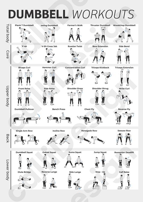 Exercise Illustration, Lichaamsgewicht Training, Fitness Before After, Dumbbell Exercise, Dumbbell Exercises, Motivasi Diet, Dumbell Workout, Latihan Kardio, Latihan Yoga