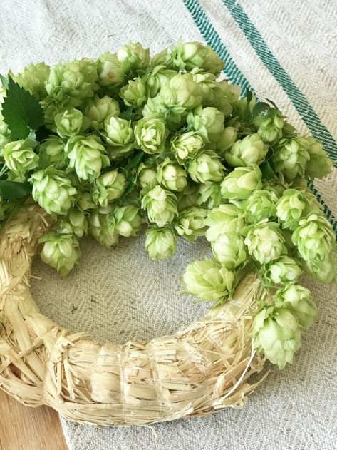 Hygge Crafts, Hops Vine, Hop Flower, Flower Cones, Straw Wreath, Deco Nature, Farm Fresh Eggs, Wreath Fall, The Farmhouse