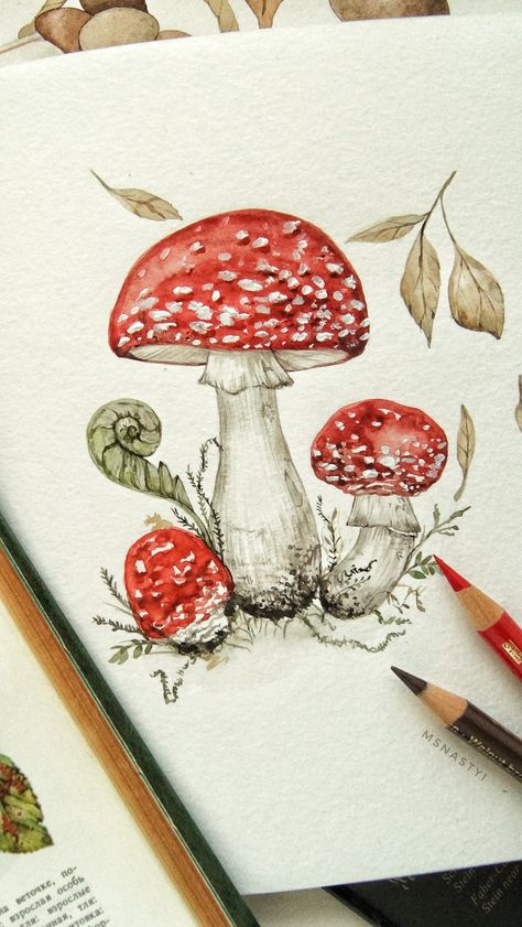 Autumn Art Drawing, Watercolor Mushroom Painting, Minimalist Illustration Art, Painting Mushrooms, Vintage Mushroom Art, Mushrooms Watercolor, Mushrooms Drawing, Autumn Drawing, Mushroom Watercolor