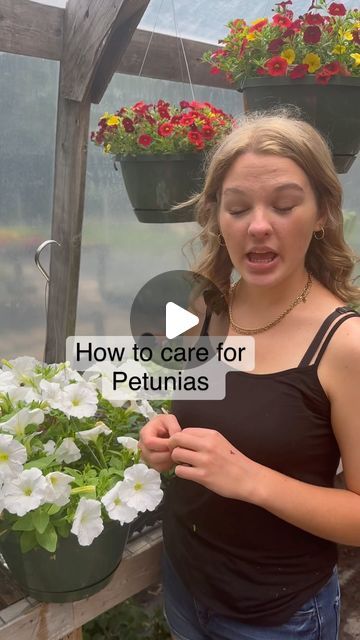 Needmore Farms | Gardening, DIY, and Recipes on Instagram: "Petunia care 101 🌸 

#flowers #flowergarden #petunia #garden #gardening #plants #plantcare #gardeningtips #gardeningtipsforbeginners #gardeningtipsandtricks #gardentips" How To Care For Petunias, Petunia Care Tips, Petunias In Pots, Petunia Garden, Petunia Care, Petunia Plant, Petunia Flower, Gardening Diy, Gardening Plants