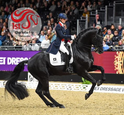 Grand Prix Dressage, Lottie Fry, Dressage Competition, Equestrian Dressage, Equestrian Aesthetic, Eventing Horses, Hobby Ideas, Horse Dressage, Dressage Horses