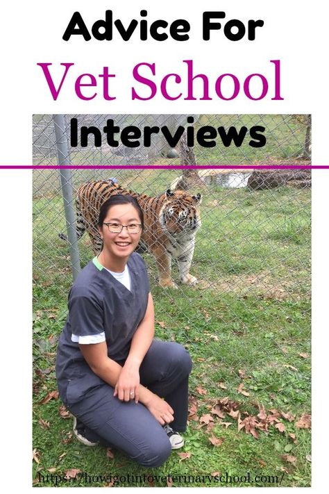 After making her decision to apply to veterinary school, Tobi used her proximity to the vets she worked with to “become the willing recipient of the knowledge they poured out!” #vetschool #MSU #vetmed #vetstudent #vettechlife #animallover #ilovecats #veterinarycollege #DVM #college Veterinarians Medicine, Vet Tech School, Vet Notes, Biology College, Nursing School Scholarships, Veterinary Tech, Vet Tech Student, School Interview, Veterinary School