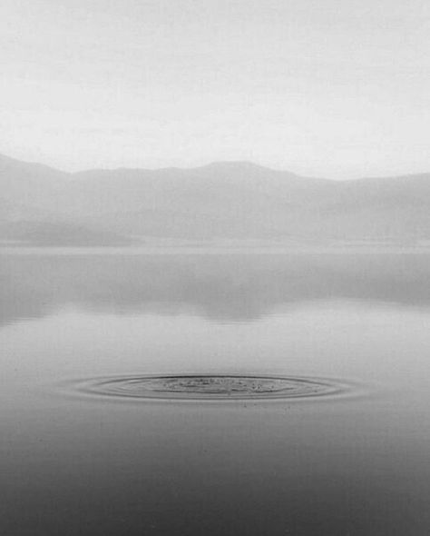 Lake misty Mists Of Avalon, Three Witches, White Lake, Italy Aesthetic, Lake Water, Water Photography, High Fantasy, Black And White Aesthetic, Visual Representation