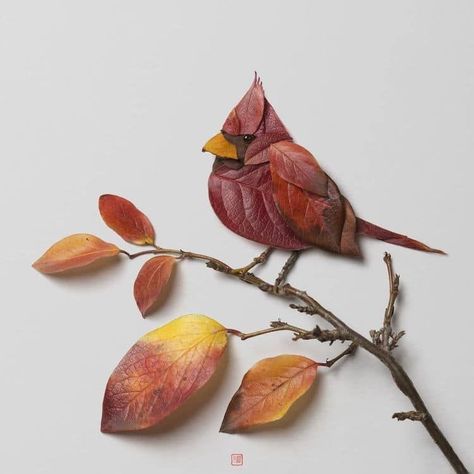 Plant Arrangements by Raku Inoue Leaf Art Diy, Dry Leaf Art, Leaf Collage, Leaf Projects, Pressed Flower Crafts, Nature Projects, Fall Arts And Crafts, Nature Artists, Leaf Crafts