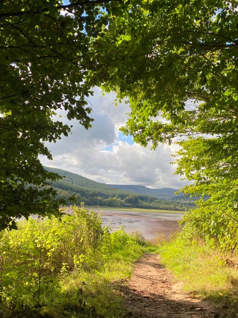 walking trail surrounded by trees overlooking a lake in wales Cosy Weather Aesthetic, Nature In Summer, Summer Sunny Aesthetic, Spring Hiking Aesthetic, Sunny Spring Aesthetic, Warm Nature Aesthetic, Sunny Winter Day Aesthetic, Sunny Summer Aesthetic, Summer Haze Aesthetic