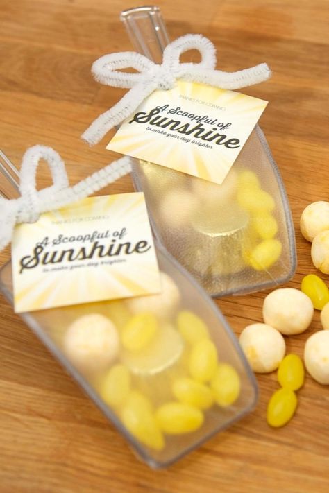 Sunshine Cookies, Pool Party Ideas, Summer Party Favors, Sunshine Party, Summer Favors, Party Favor Ideas, Pool Party Favors, Party Favors For Adults, Box Of Sunshine