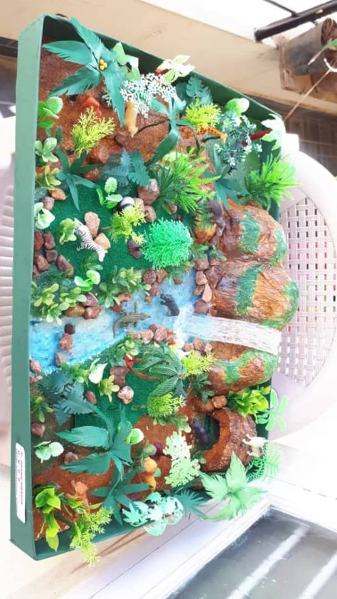 Forest Model School Project, Human Body Science Projects, Body Science, Human Body Science, Model School, Jungle Safari, School Project, Science Projects, Wild Animals