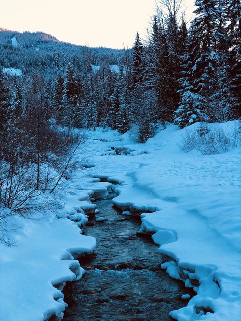 Icey cold water flowing out of Lost Lake Whistler, B.C., Canada. Photo Creds: (Me) Pack Your Bags, Whistler, Water Flow, Travel Dreams, Travel Inspiration, Cold Water, Places To Visit, Lake, Lost