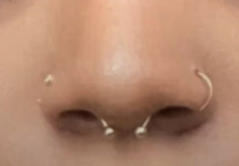 Nose Piercing All 3, Double Nostril Piercing With Septum, Nose Piercing Ideas Aesthetic, Piercings Aesthetic Nose, Nose Piercing Multiple, Nose Piercing Set Up, Matching Nose Piercing, Two Side Nose Piercing, Nose Piercing Both Sides And Septum