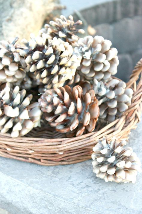 EASY WINTER DIY - StoneGable Pinecone Firestarters, Diy Fire Starters, Pinecone Fire Starters, Fire Starters Diy, Cone Crafts, Diy Wax, Farmhouse Side Table, Pinecone Ornaments, Cute Dorm Rooms